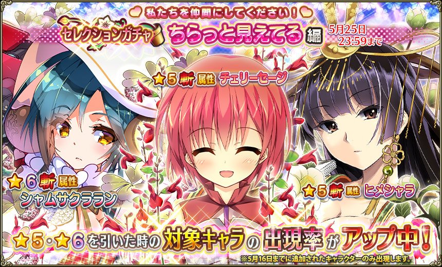 ちらっと見えてる.jpg