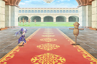 サイネリア(フラワーミルキーウェイ).gif