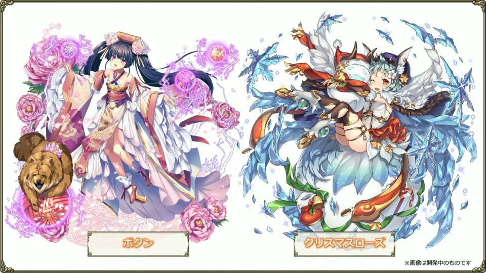2026_11th_chara_bloomed_4.jpg