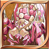 コウハクーモ.png コウハクーモ.png