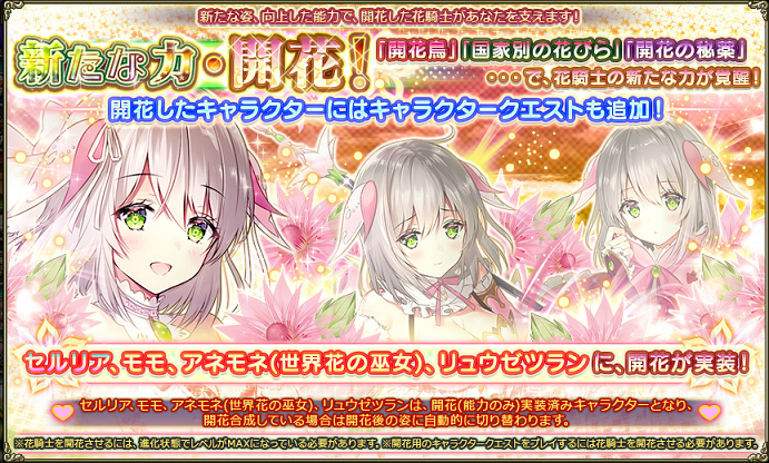 セルリア開花告知.png