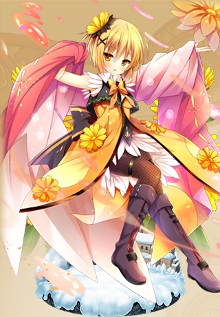 カレンデュラ_開花.jpg