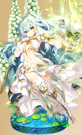 イワレンゲ進化.jpg