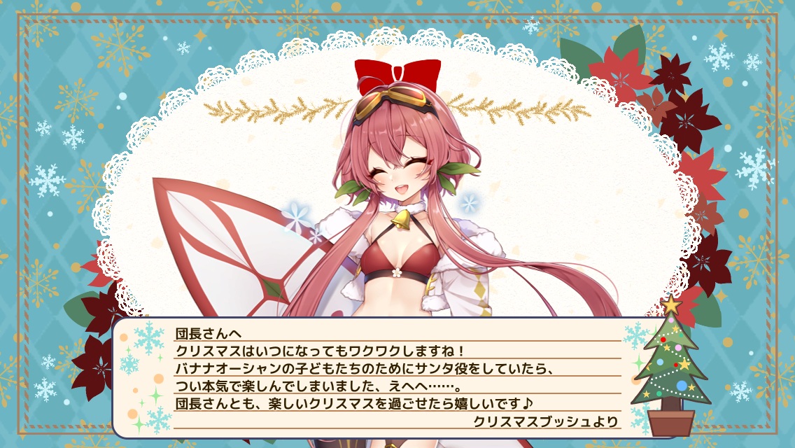 クリスマスブッシュ