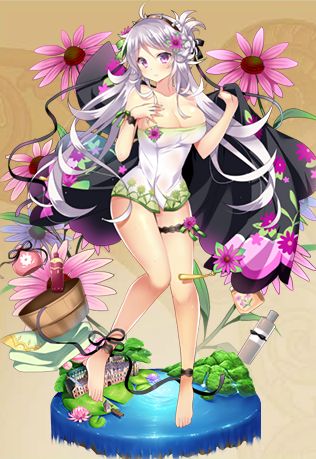 エキナセア(温泉浴衣)進化.jpg エキナセア(温泉浴衣)進化.jpg