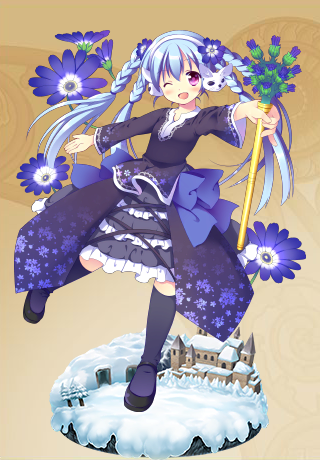 サイネリア サイネリア