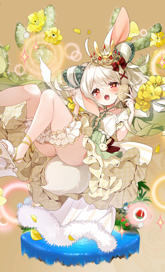 バニーカクタス開花後.png バニーカクタス開花後.png