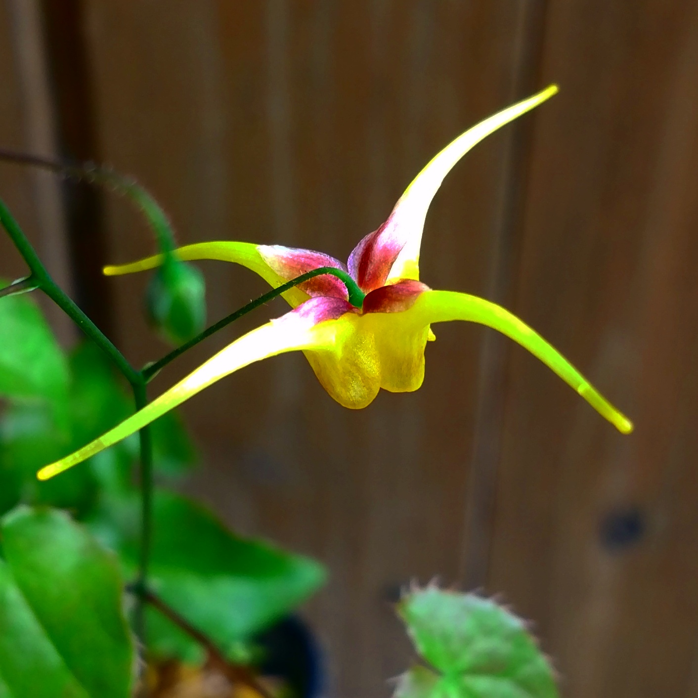 IMG_20160725_193702.jpg IMG_20160725_193702.jpg