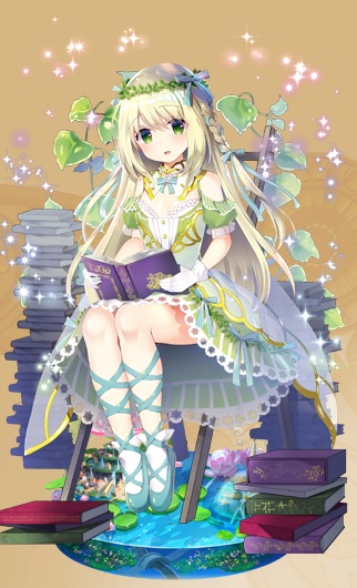 プミラ開花.jpg プミラ開花.jpg