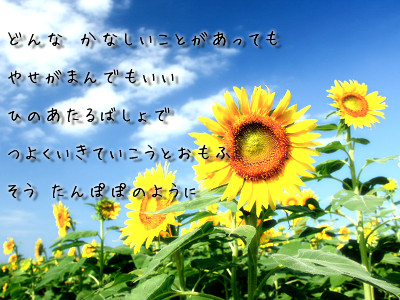 たんぽぽのように.jpg たんぽぽのように.jpg