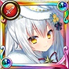 シロタエギク(クリスマス) シロタエギク(クリスマス)