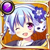 サイネリア サイネリア