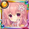 クルクマ クルクマ