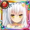 シロタエギク シロタエギク