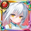 シロタエギク(封月の儀) シロタエギク(封月の儀)
